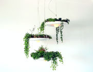 Himmel-Garten, der helles Anhänger-Haus gepflanzte hängende Suspendierungs-Beleuchtung hängt